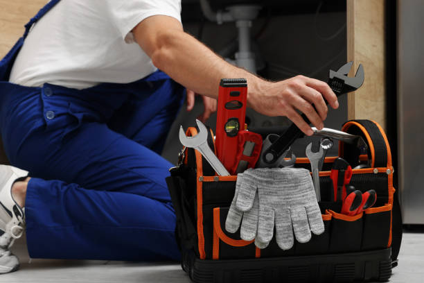 Best Clogged Drain Plumber  in Rosita, TX