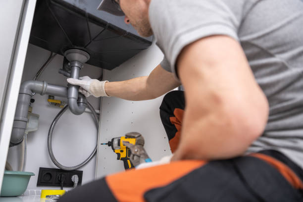 Best Plumbing Services Near Me  in Rosita, TX